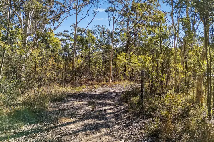 Second view of Homely rural property listing, 401 Reedy Creek Road, Rylstone NSW 2849