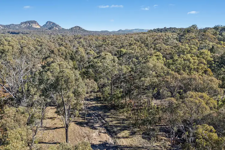 Third view of Homely rural property listing, 401 Reedy Creek Road, Rylstone NSW 2849