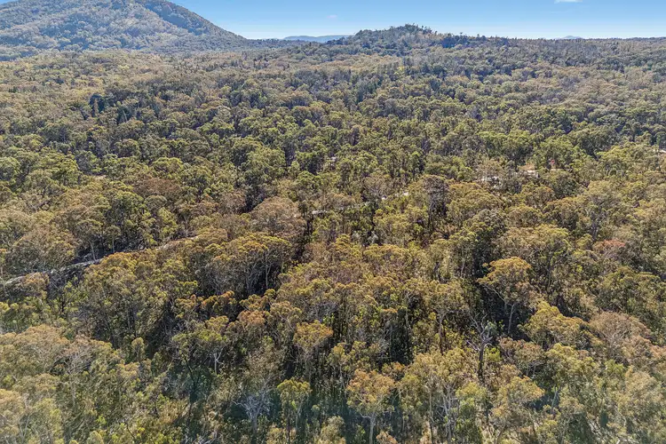 Fifth view of Homely rural property listing, 401 Reedy Creek Road, Rylstone NSW 2849