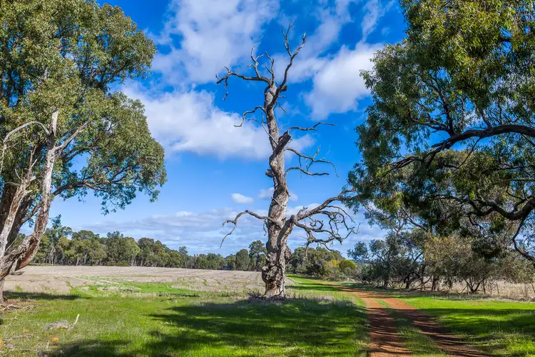 Seventh view of Homely rural property listing, 284 Wariin Road, Woottating WA 6562