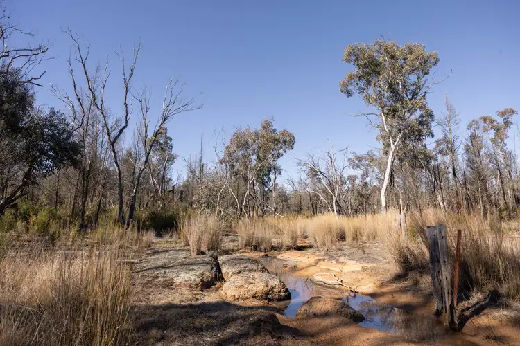 Second view of Homely rural property listing, 250 Springwood Park Road, Gulgong NSW 2852