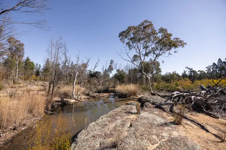 Second view of Homely rural property listing, 250 Springwood Park Road, Gulgong NSW 2852