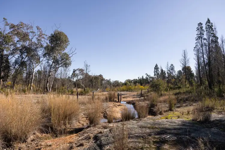 Third view of Homely rural property listing, 250 Springwood Park Road, Gulgong NSW 2852