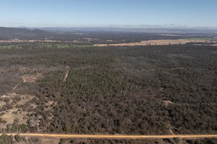 Sixth view of Homely rural property listing, 250 Springwood Park Road, Gulgong NSW 2852
