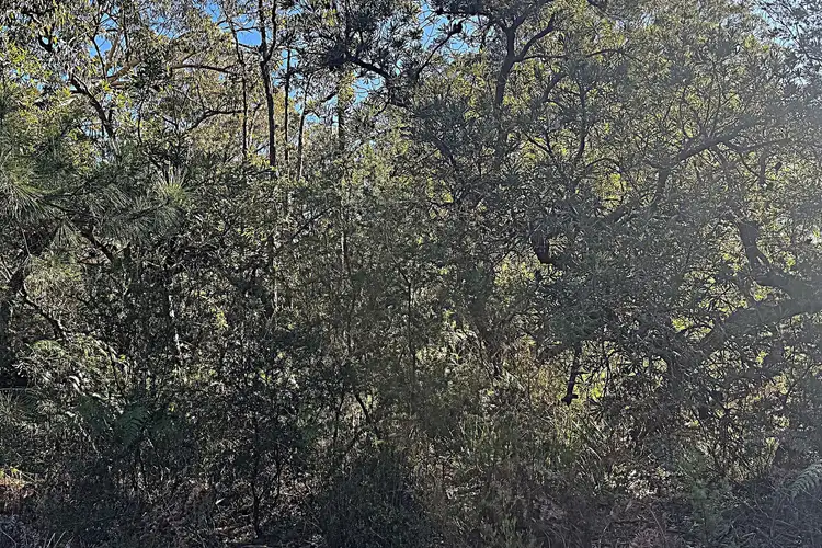 Fourth view of Homely land listing, LOT 10 Nardoo Street, Pindimar NSW 2324