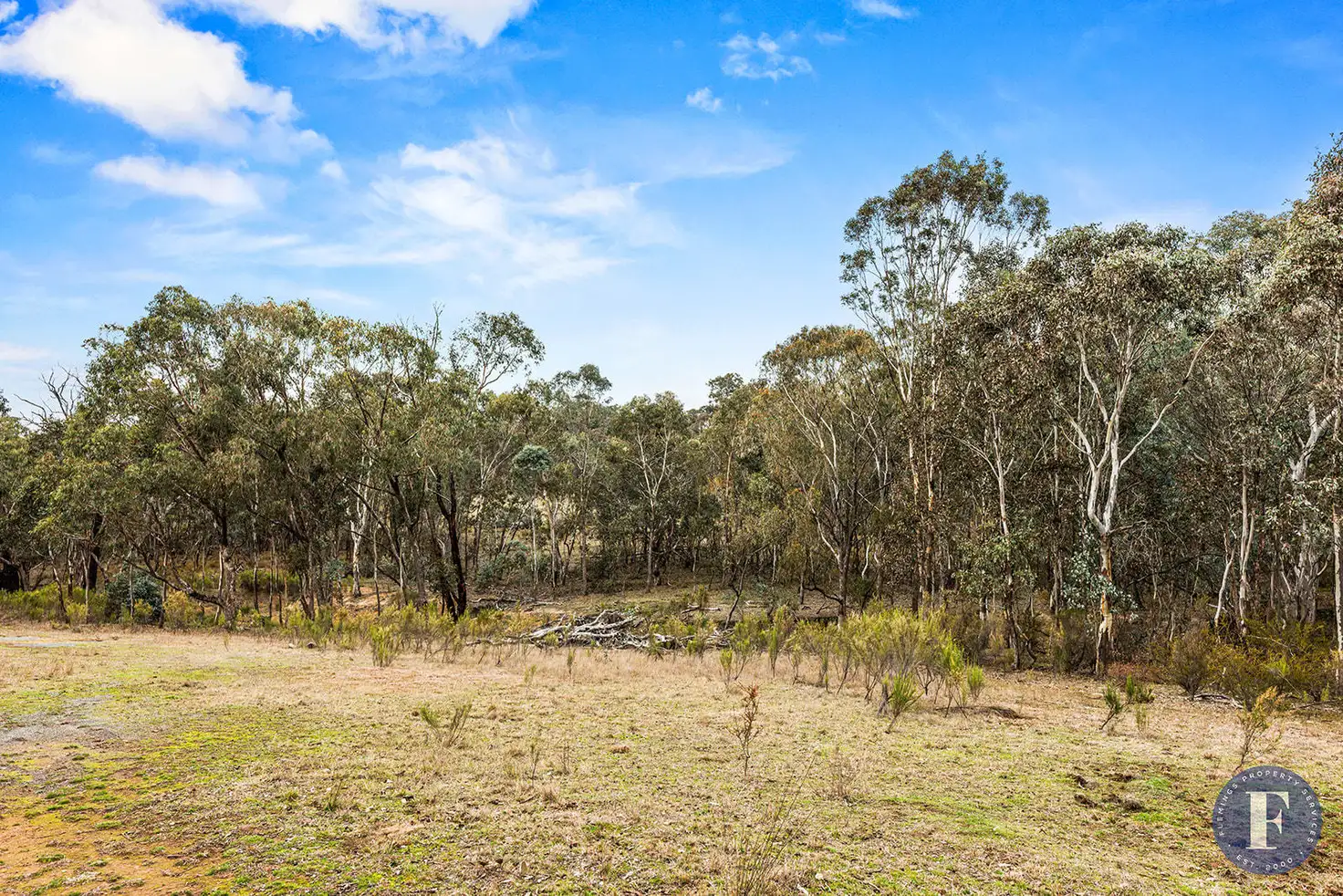Main view of Homely rural property listing, 15 Old Wheo Road, Taylors Flat NSW 2586