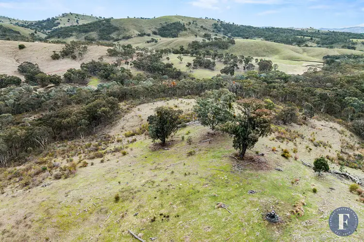 Seventh view of Homely rural property listing, 15 Old Wheo Road, Taylors Flat NSW 2586