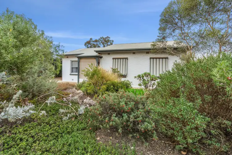 26 Geraldton Street, Loxton SA 5333