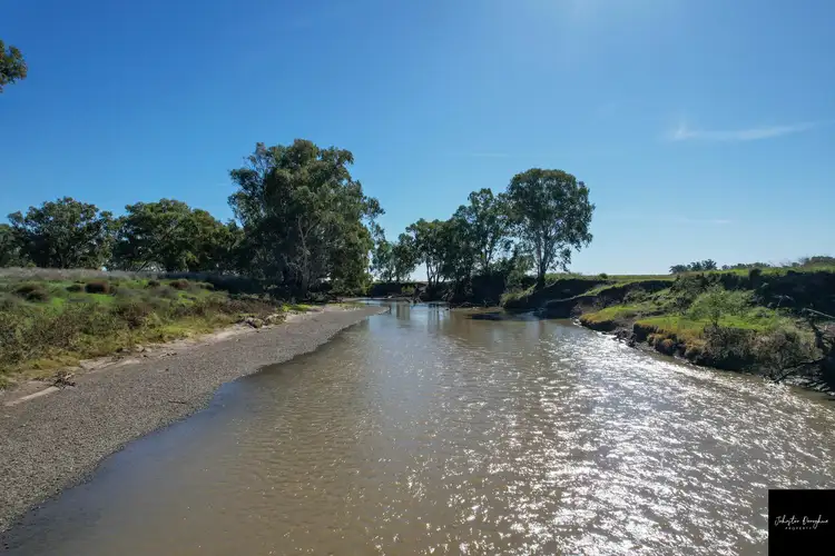 Second view of Homely rural property listing, 445 Blue Vale Road, Gunnedah NSW 2380