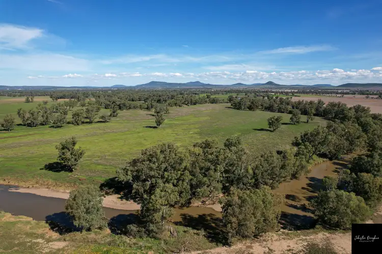Third view of Homely rural property listing, 445 Blue Vale Road, Gunnedah NSW 2380
