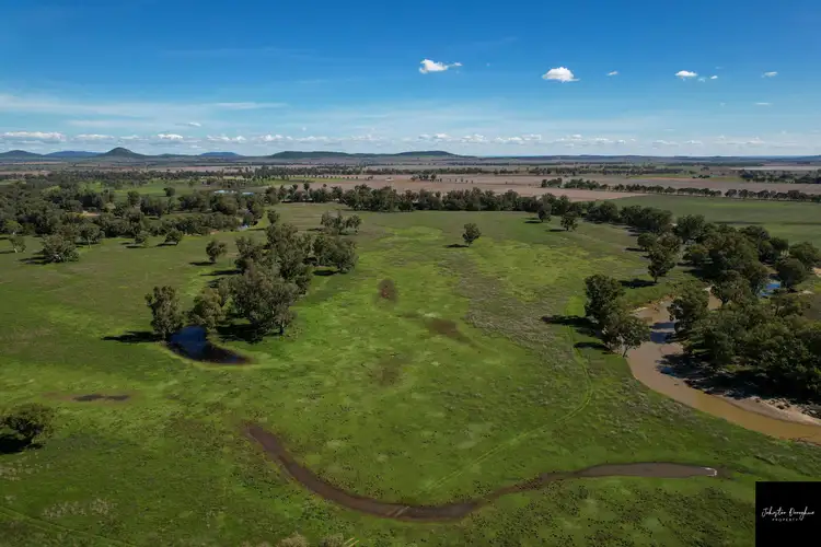 Fourth view of Homely rural property listing, 445 Blue Vale Road, Gunnedah NSW 2380