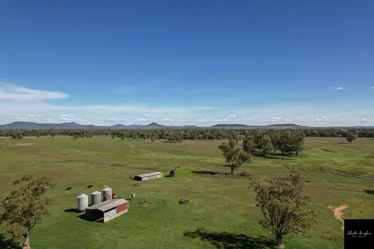 Fifth view of Homely rural property listing, 445 Blue Vale Road, Gunnedah NSW 2380