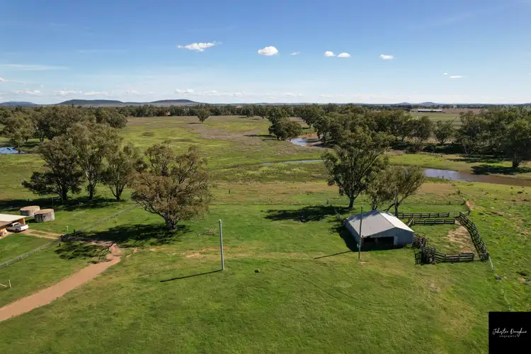Sixth view of Homely rural property listing, 445 Blue Vale Road, Gunnedah NSW 2380