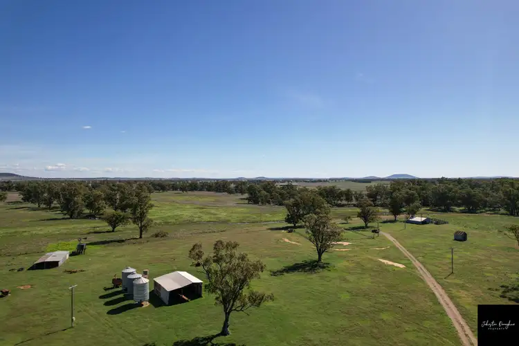 Seventh view of Homely rural property listing, 445 Blue Vale Road, Gunnedah NSW 2380