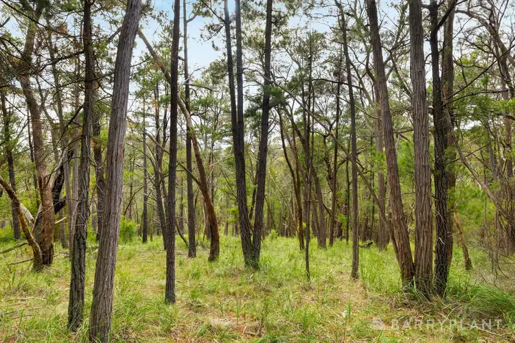 Second view of Homely land listing, 935 Buttermans Track, Christmas Hills VIC 3775