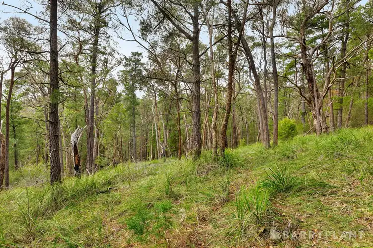 Third view of Homely land listing, 935 Buttermans Track, Christmas Hills VIC 3775