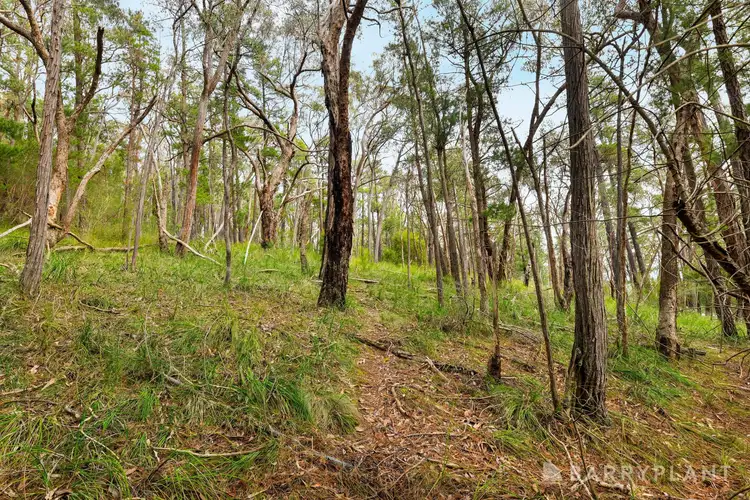 Fourth view of Homely land listing, 935 Buttermans Track, Christmas Hills VIC 3775