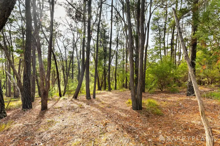 Fifth view of Homely land listing, 935 Buttermans Track, Christmas Hills VIC 3775