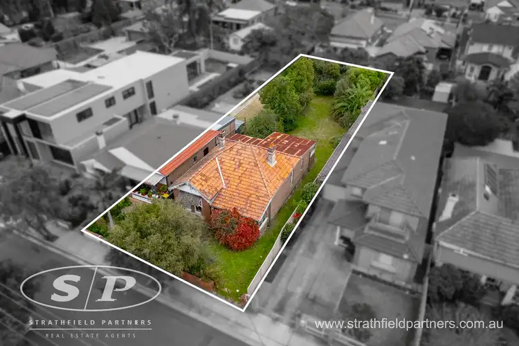 21 Angelo Street, Burwood NSW 2134