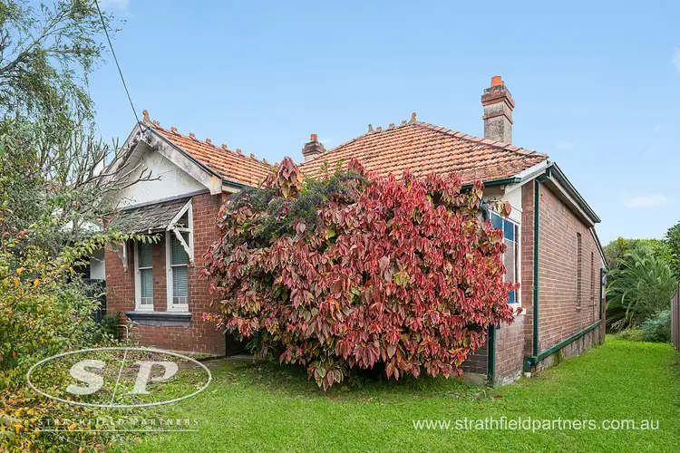 21 Angelo Street, Burwood NSW 2134
