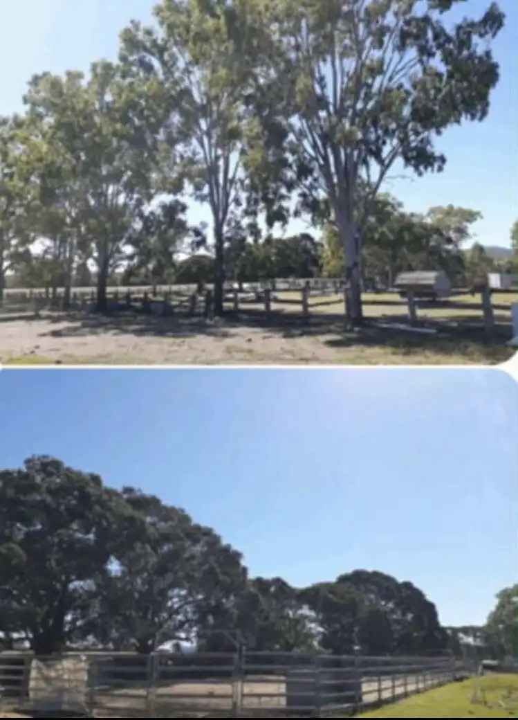 Sixth view of Homely rural property listing, 769 Upper Widgee Road, Widgee QLD 4570