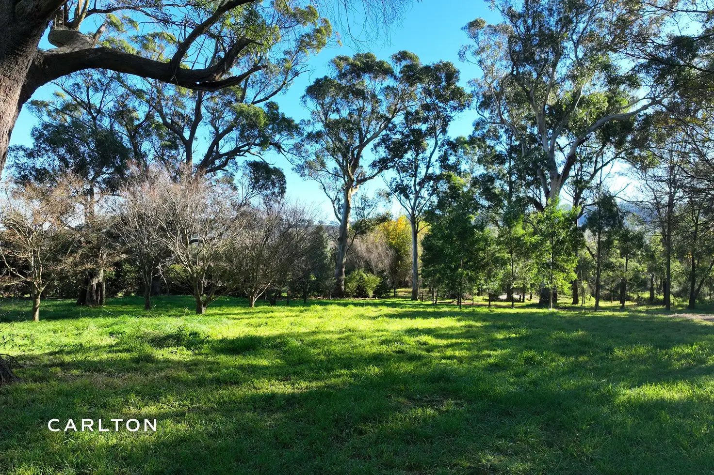 Main view of Homely rural property listing, 34 Mansfield Road, Bowral NSW 2576