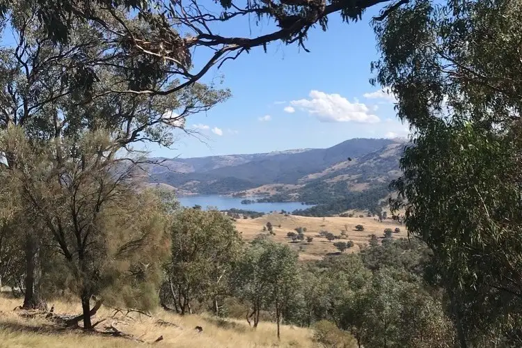 Main view of Homely rural property listing, LOT 4 Greenmantle Road, Bigga NSW 2583