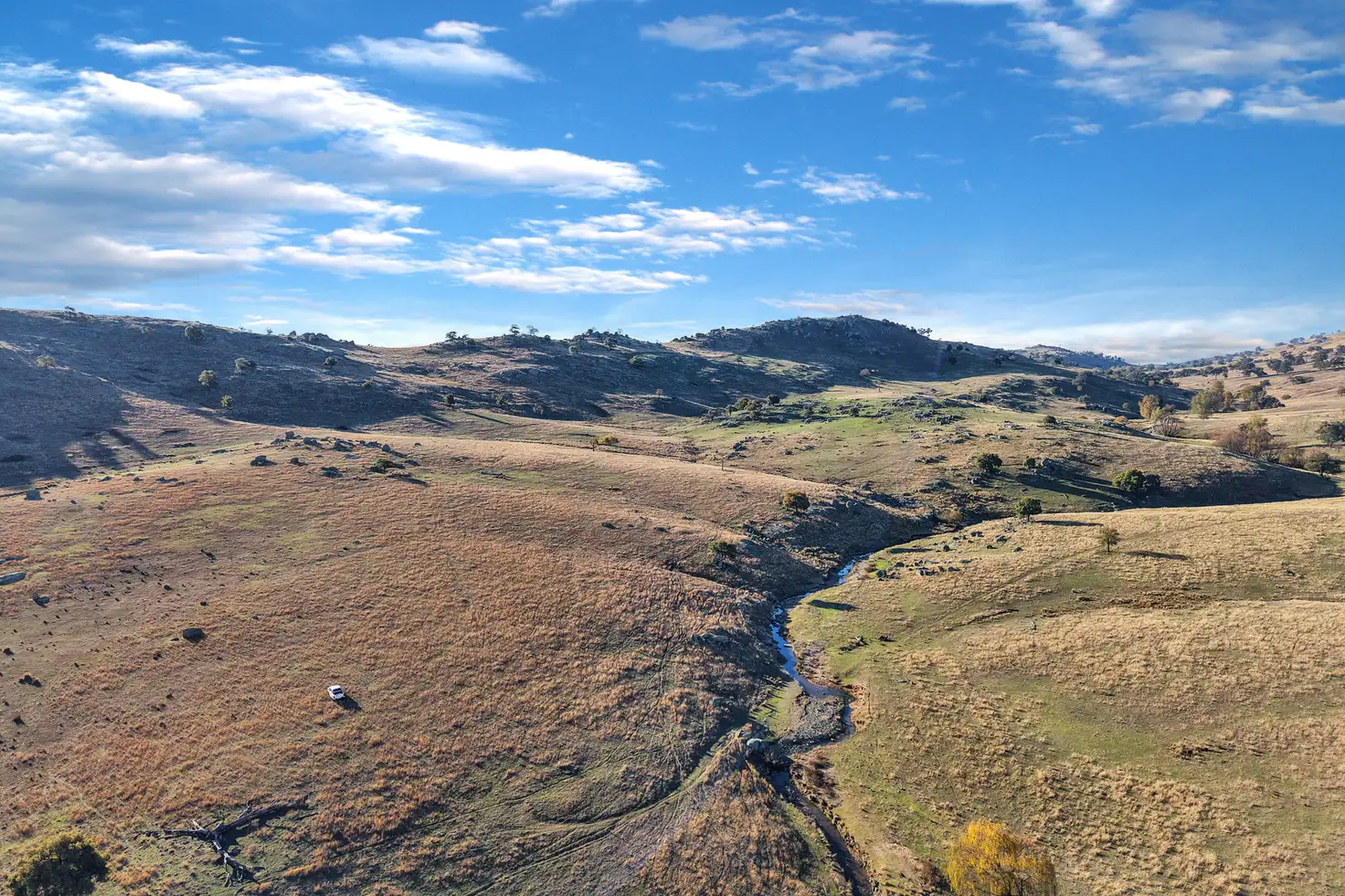 Main view of Homely rural property listing, 333 Mount Darling Road, Reids Flat NSW 2586