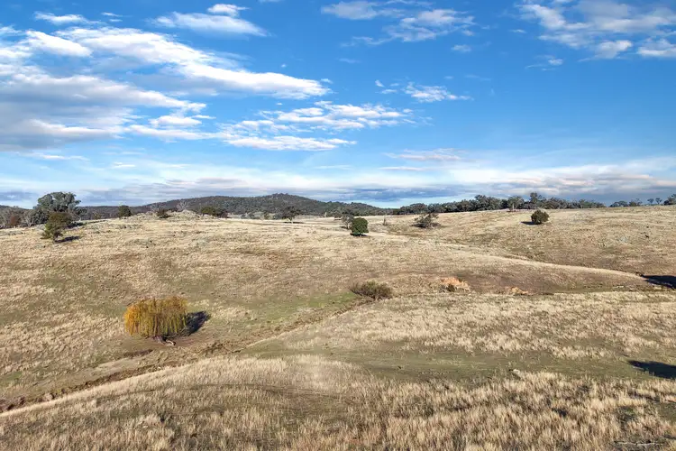 Fourth view of Homely rural property listing, Mount Darling Road, Reids Flat NSW 2586