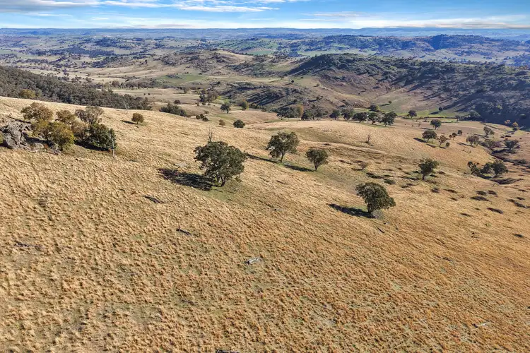 Fifth view of Homely rural property listing, Mount Darling Road, Reids Flat NSW 2586
