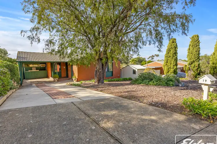 Second view of Homely house listing, 19 Olympia Crescent, Hackham West SA 5163