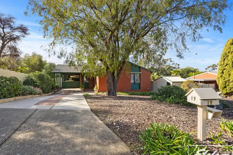 Third view of Homely house listing, 19 Olympia Crescent, Hackham West SA 5163