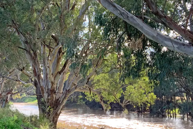 Second view of Homely rural property listing, 18764 Kamilaroi Highway, Narrabri NSW 2390