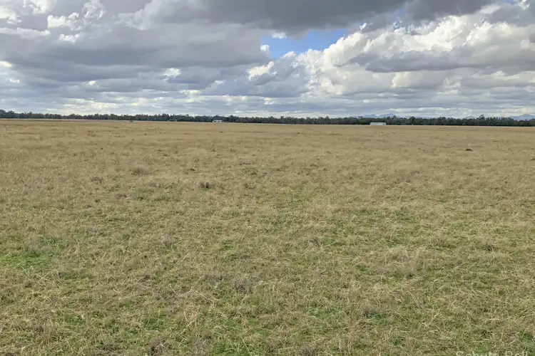 Third view of Homely rural property listing, 18764 Kamilaroi Highway, Narrabri NSW 2390