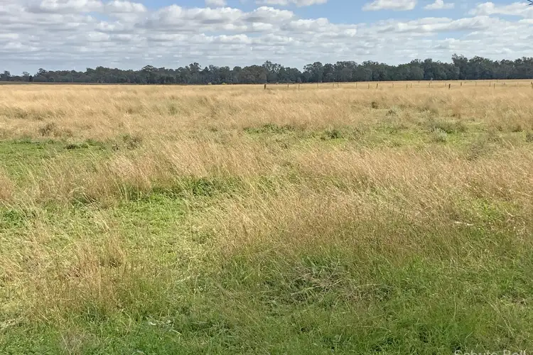 Sixth view of Homely rural property listing, 18764 Kamilaroi Highway, Narrabri NSW 2390