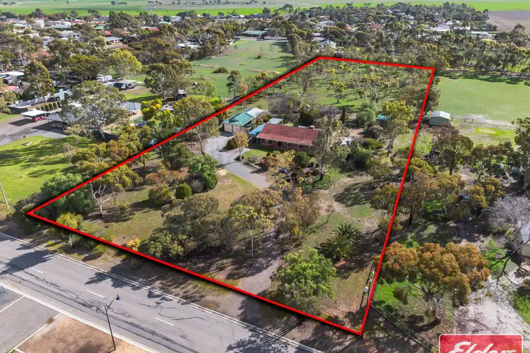 Main view of Homely house listing, 67 Borrow Street, Freeling SA 5372