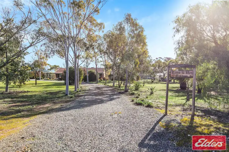 Second view of Homely house listing, 67 Borrow Street, Freeling SA 5372