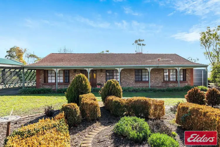 Fifth view of Homely house listing, 67 Borrow Street, Freeling SA 5372