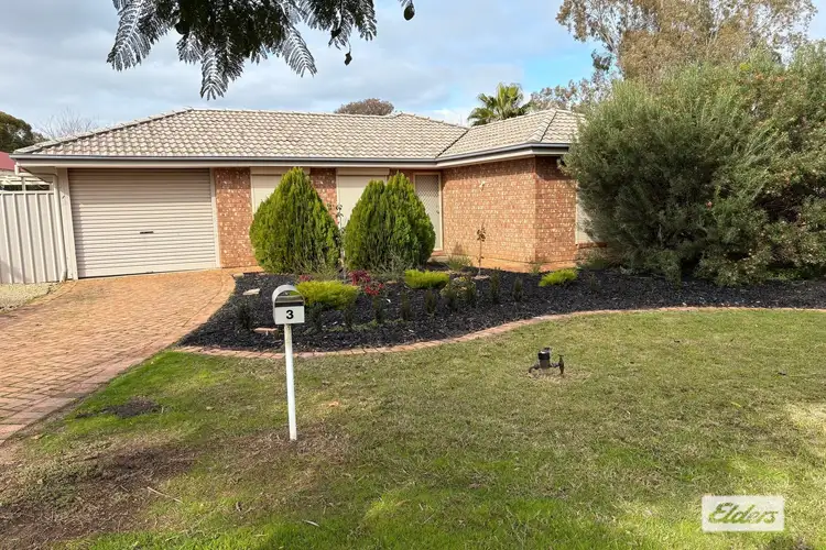 Main view of Homely house listing, 3 Leicester Grove, Andrews Farm SA 5114