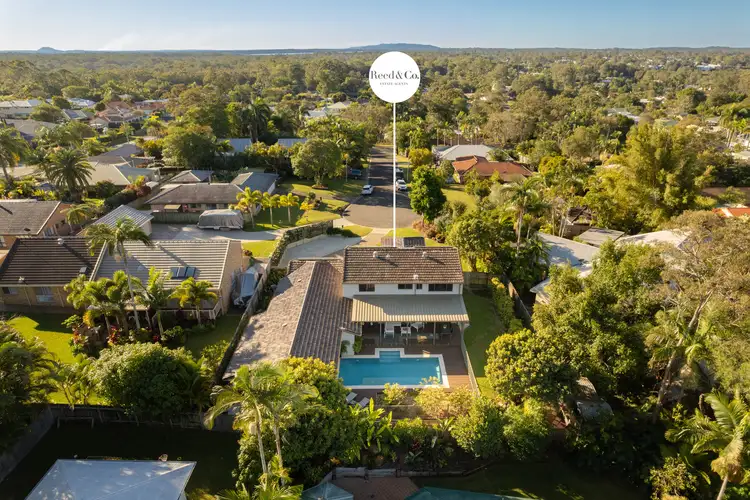 12 Birch Court, Tewantin QLD 4565