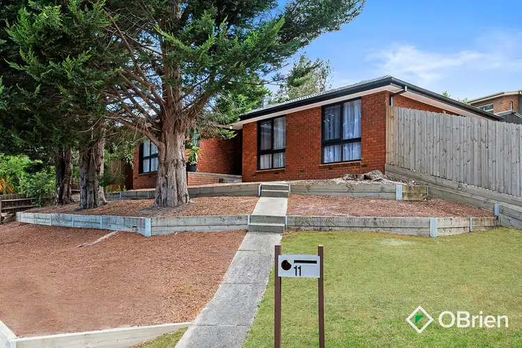 Main view of Homely house listing, 11 Gattinara Drive, Frankston VIC 3199