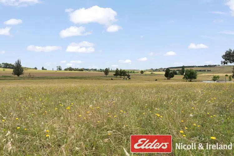 Sixth view of Homely rural property listing, 3671 O'Connell Road, Brewongle NSW 2795