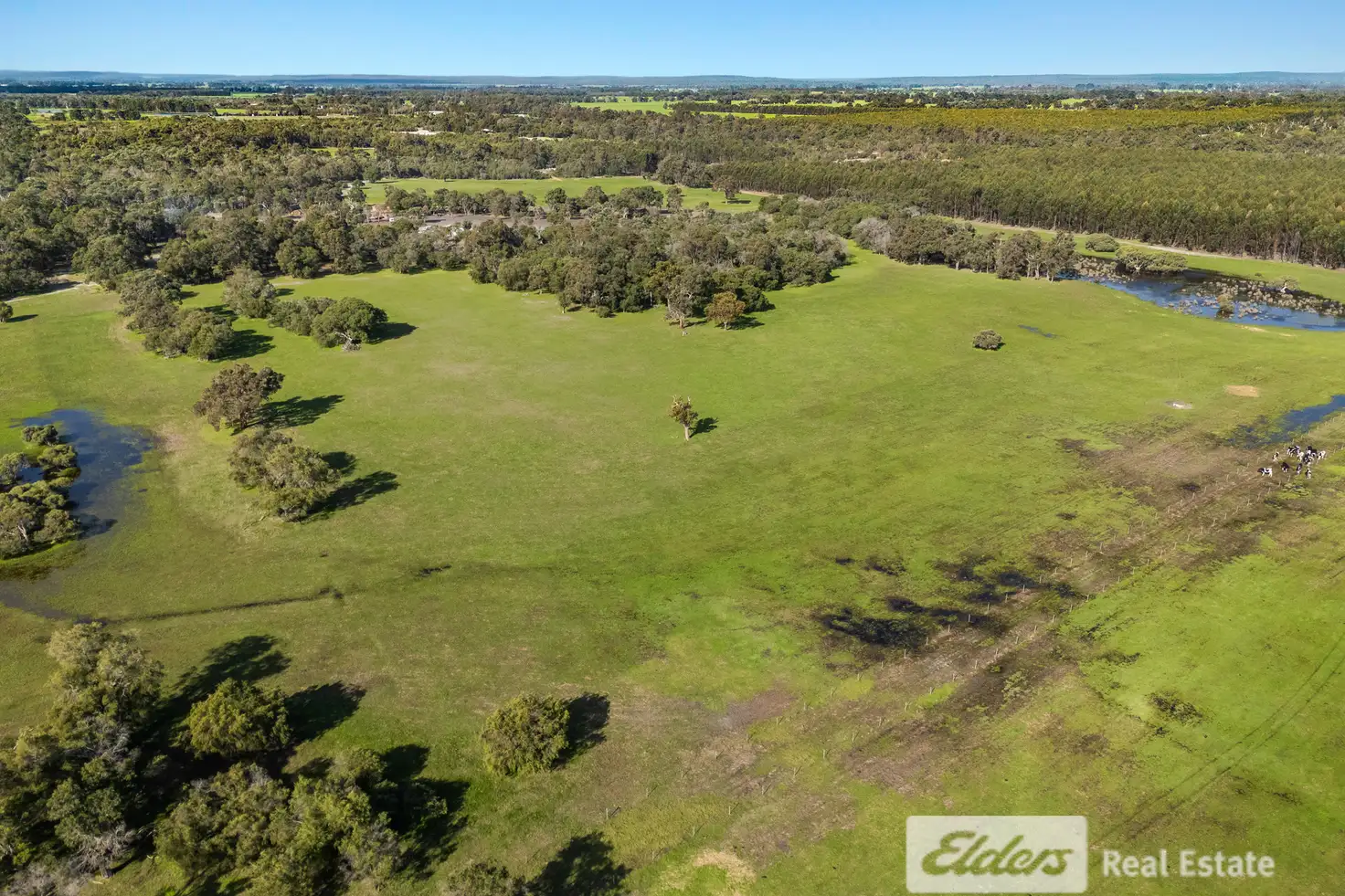 Main view of Homely rural property listing, 16 Froome End, Ludlow WA 6280