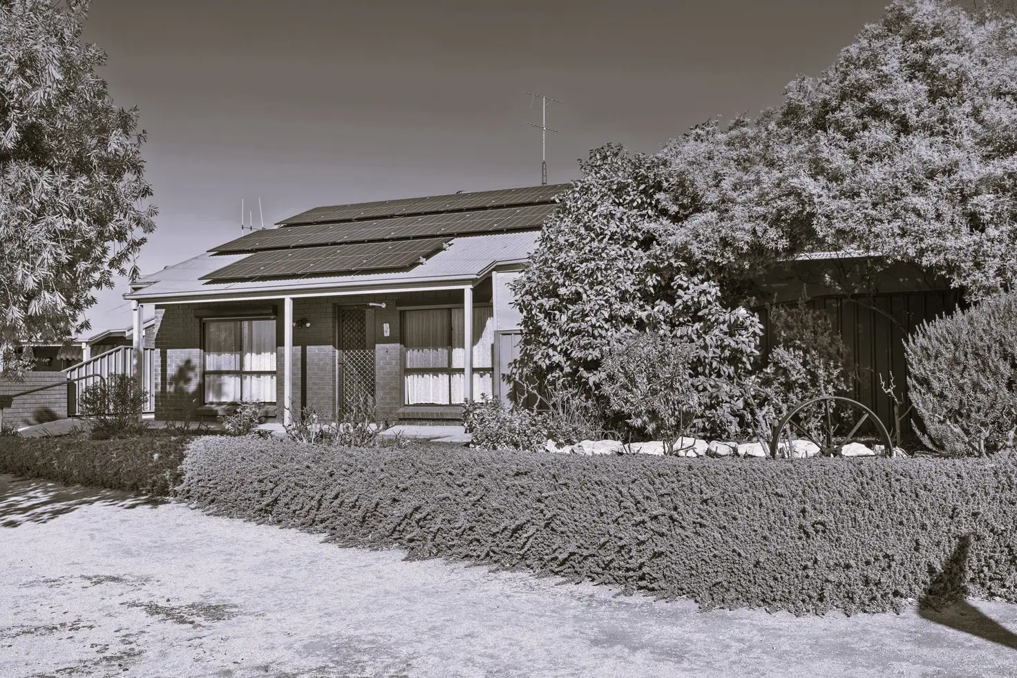 Main view of Homely unit listing, 5/16 Fourth Street, Loxton SA 5333