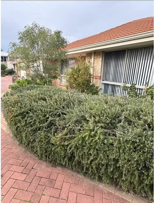Second view of Homely unit listing, 2/15 Wakefield Street, Australind WA 6233