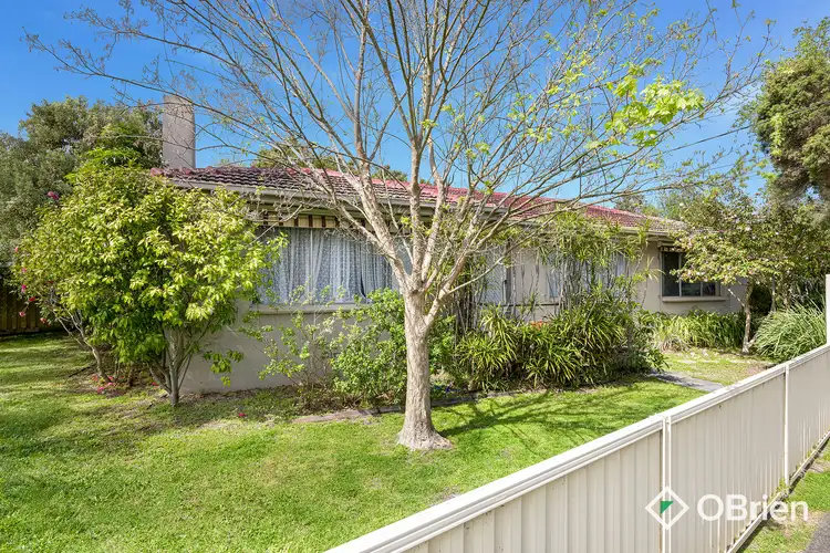31 Berberis Crescent, Frankston VIC 3199