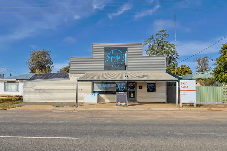 Main view of Homely house listing, 98 Fitzroy Avenue, Red Cliffs VIC 3496