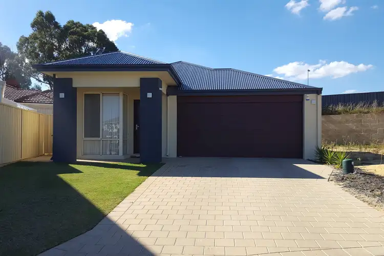 Main view of Homely house listing, 50 Aachen Crescent, Gwelup WA 6018