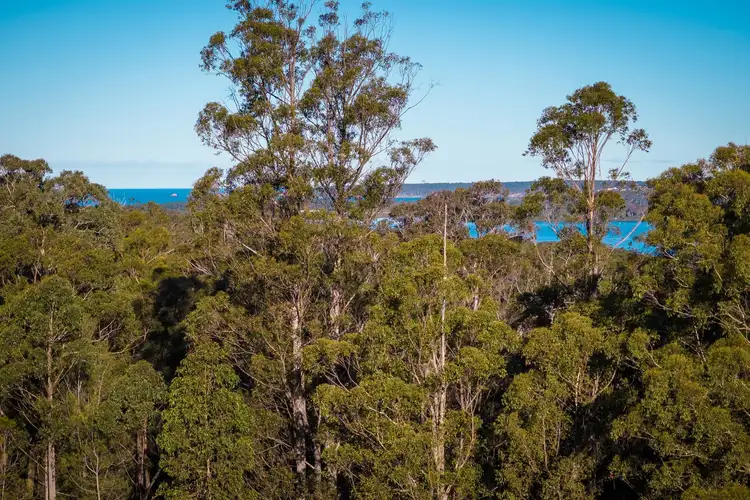 Second view of Homely land listing, LOT 16 Millingandi Short Cut Road, Millingandi NSW 2549