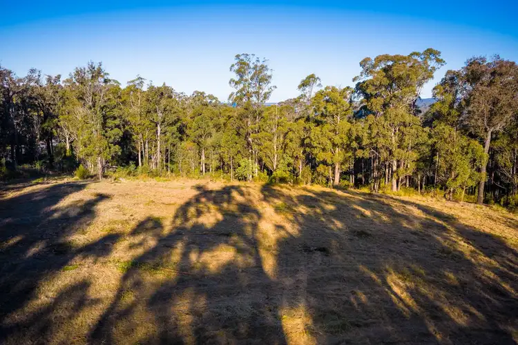 Third view of Homely land listing, LOT 16 Millingandi Short Cut Road, Millingandi NSW 2549